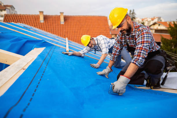 Best Best Roofing Contractors  in North Utica, IL