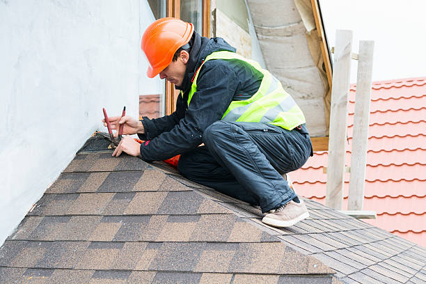 Best Metal Roofing Contractor  in North Utica, IL